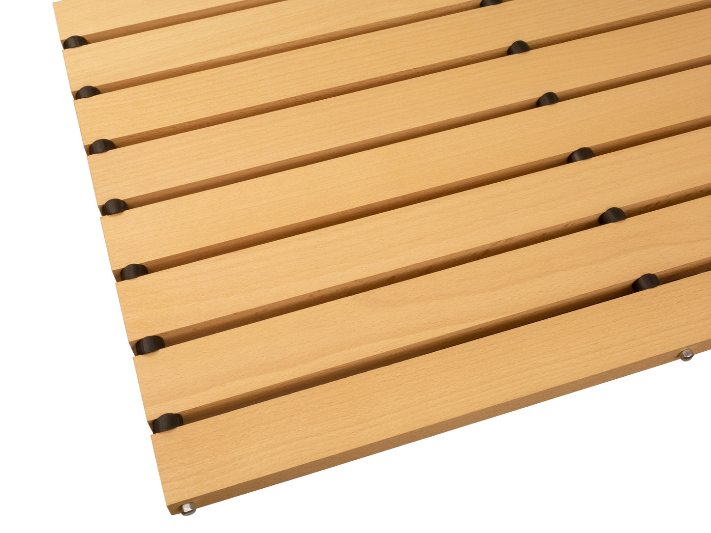 Bürstenmatte/Schuhabstreifer (59x38,5) Naturhaar-Borste